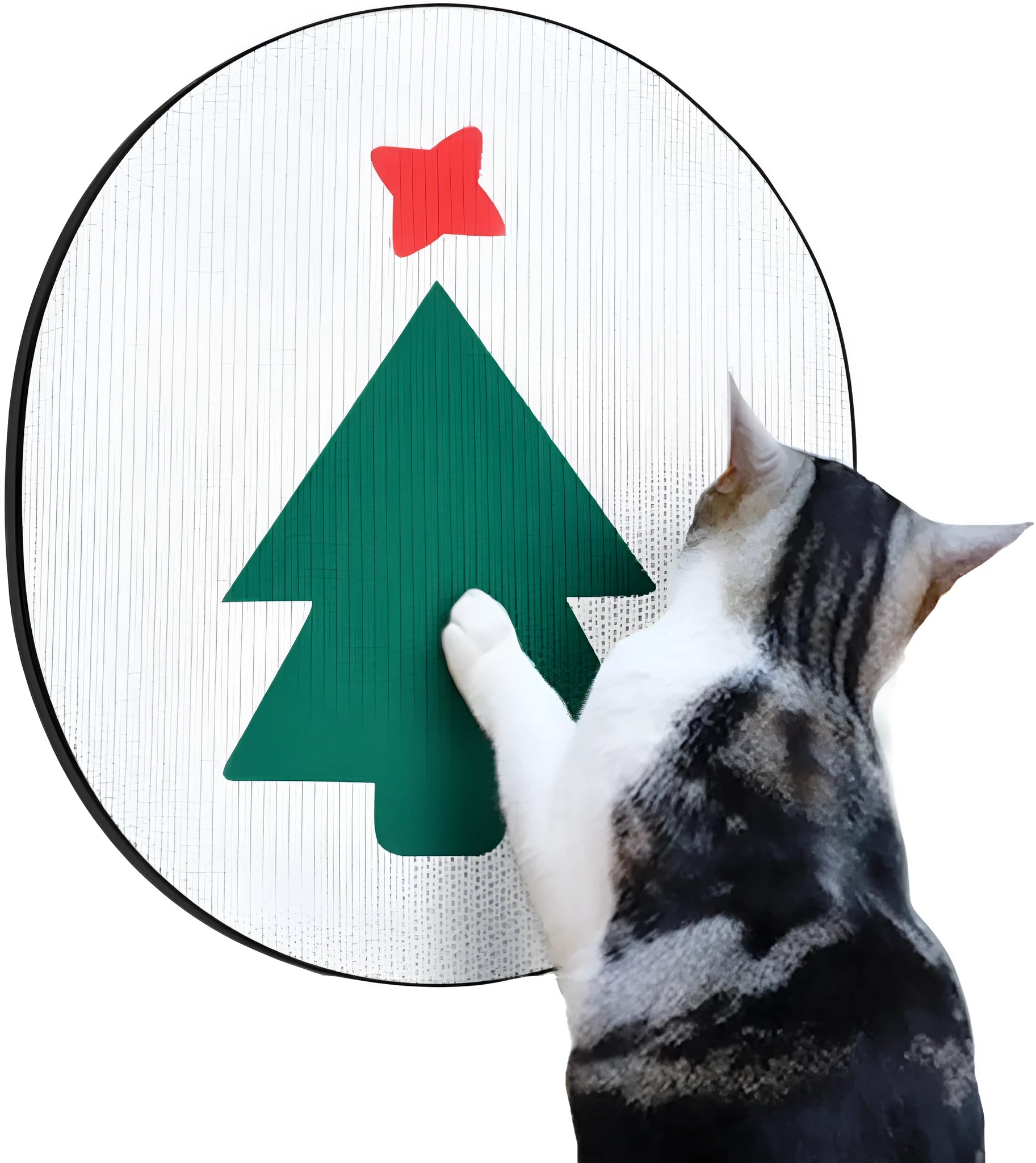 Wall-mounted rectangular cardboard cat scratch pad with catnip on a home wall