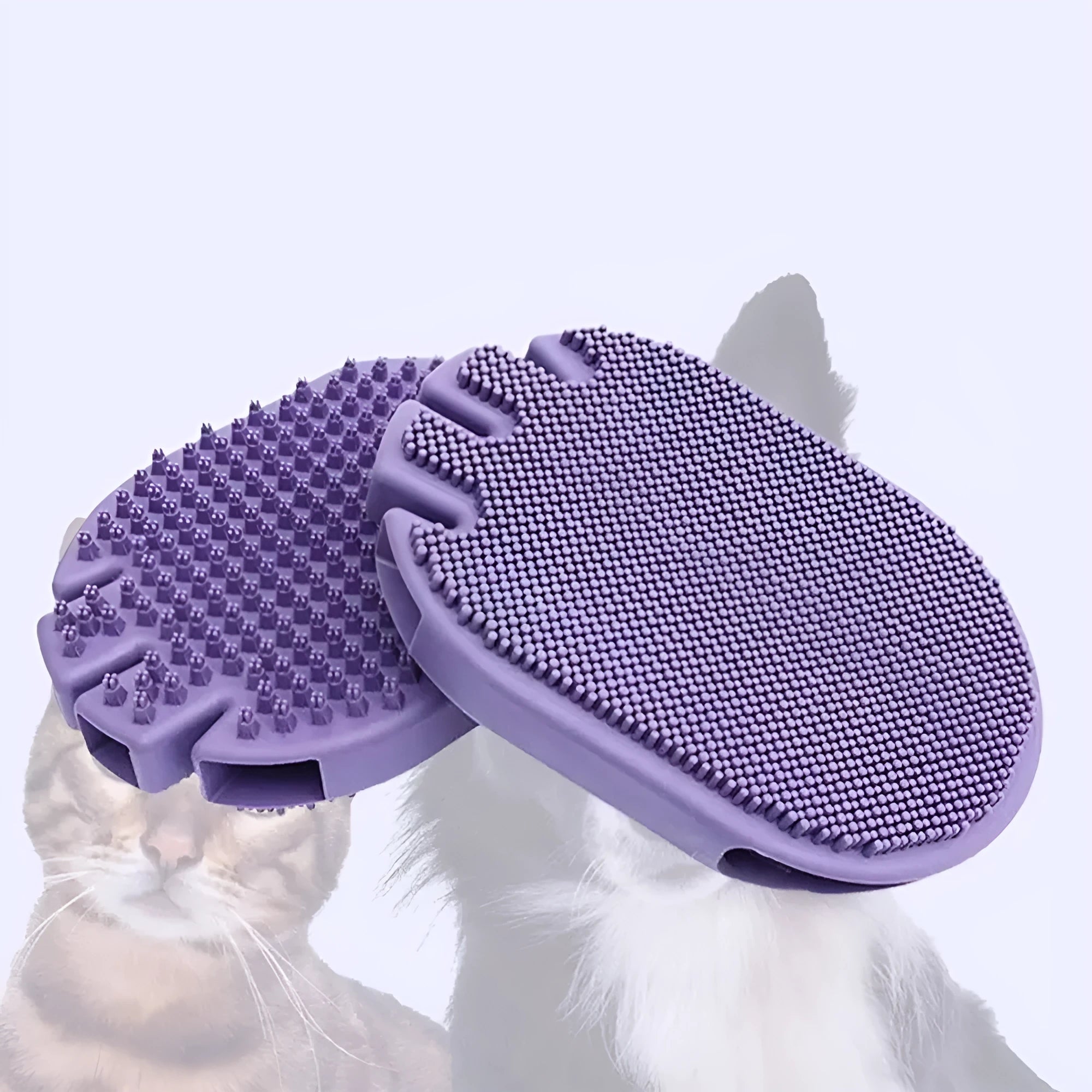 Purple massaging pet shampoo brush with soft TPR bristles, dual-sided dog grooming tool on white background