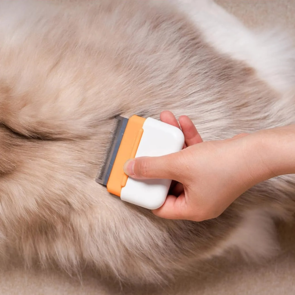 Blue double-sided pet deshedding brush with stainless steel teeth on a wooden table.