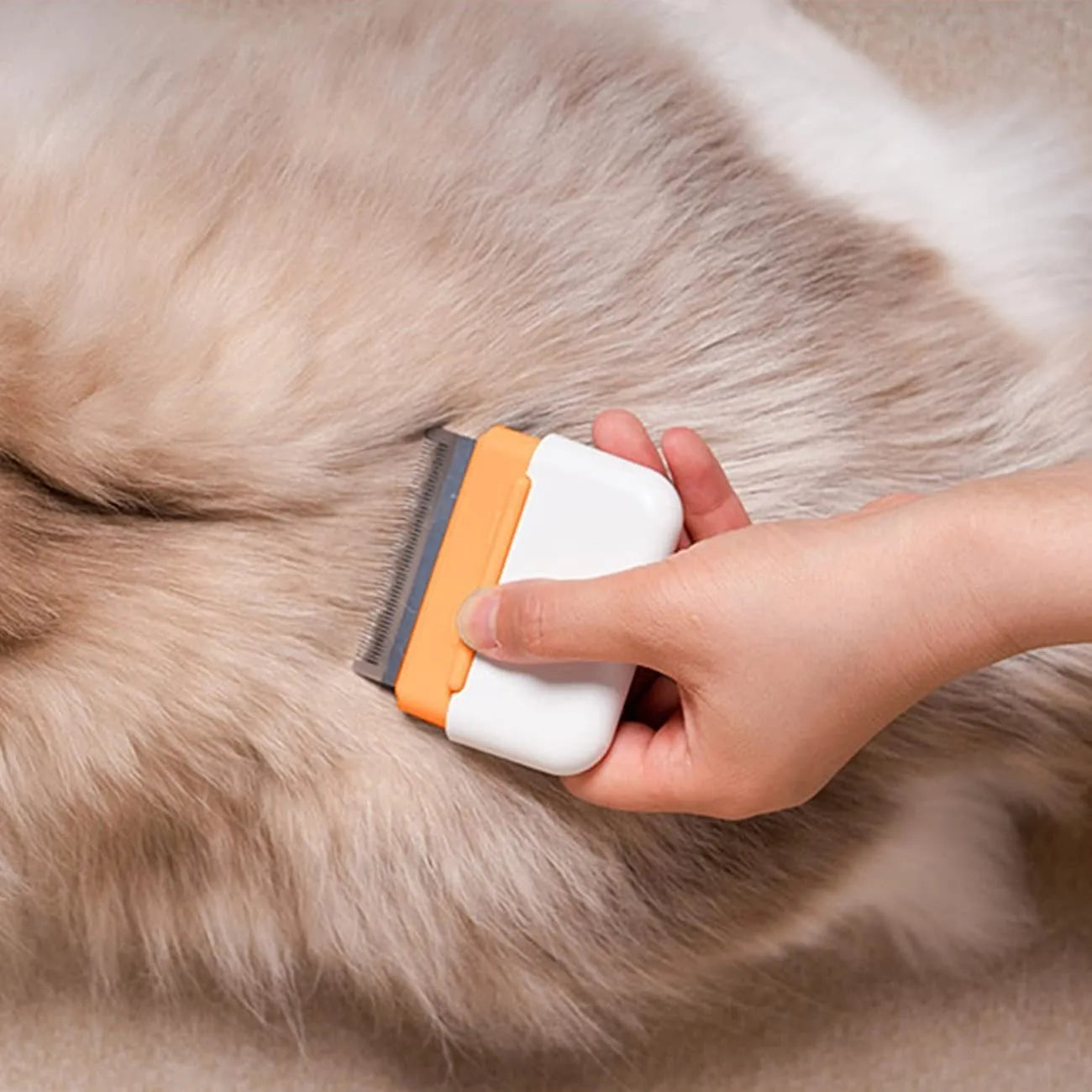 Blue double-sided pet deshedding brush with stainless steel teeth on a wooden table.