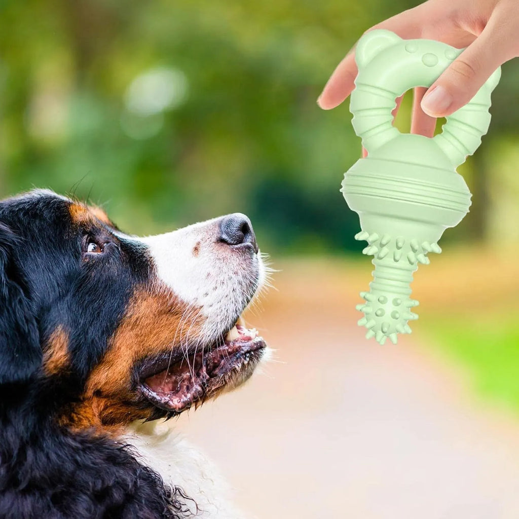 Blue molar-shaped rubber dog chew toy with textured concave-convex surface for teeth cleaning
