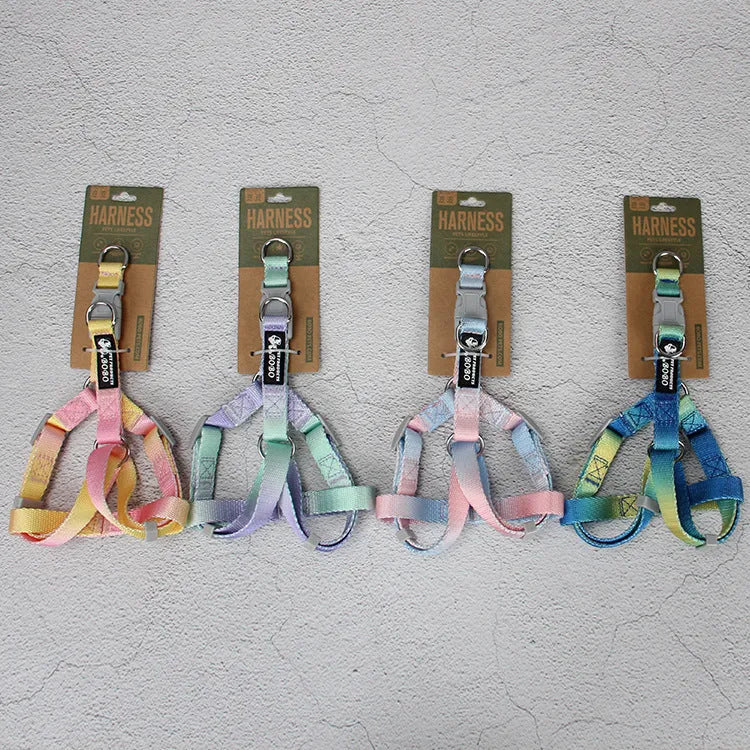 Gradient colour pet leash set showing nylon collar, chest strap and bracelet in pink and blue colour combination