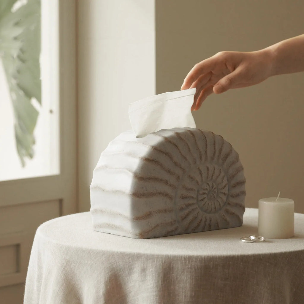 Modern conch shell shaped resin tissue box cover in a conch ramble colour.