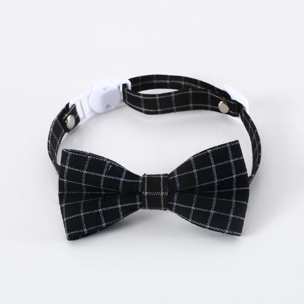 Pet doctor degree hair band and bow tie set in wool felt with elastic 18cm circumference for small dogs and cats