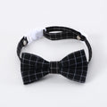 Pet doctor degree hair band and bow tie set in wool felt with elastic 18cm circumference for small dogs and cats
