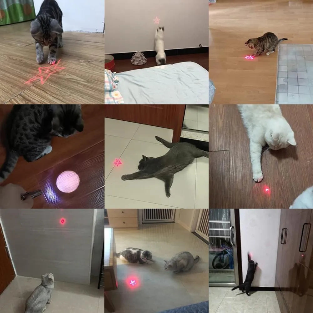 Pink and black USB-rechargeable infrared cat teaser toy with keychain loop.