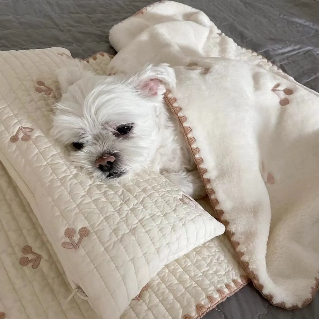Fashion square mat removable washable dog bed set with pillow mattress quilt, simple bear design, size S and M options