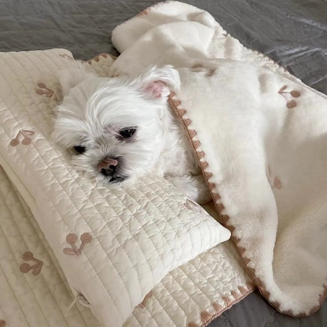 Fashion square mat removable washable dog bed set with pillow mattress quilt, simple bear design, size S and M options