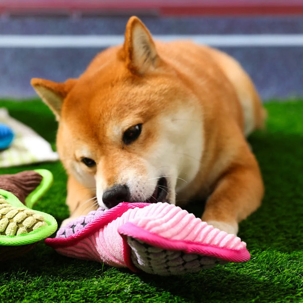 Blue teddy dog toy with squeaker bone, showing soft corn fleece lining and bite-resistant construction