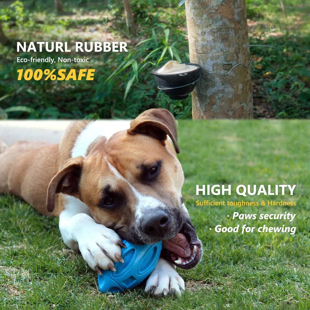 Blue, green, and orange natural rubber squeaky dog ball with textured surface grooves.