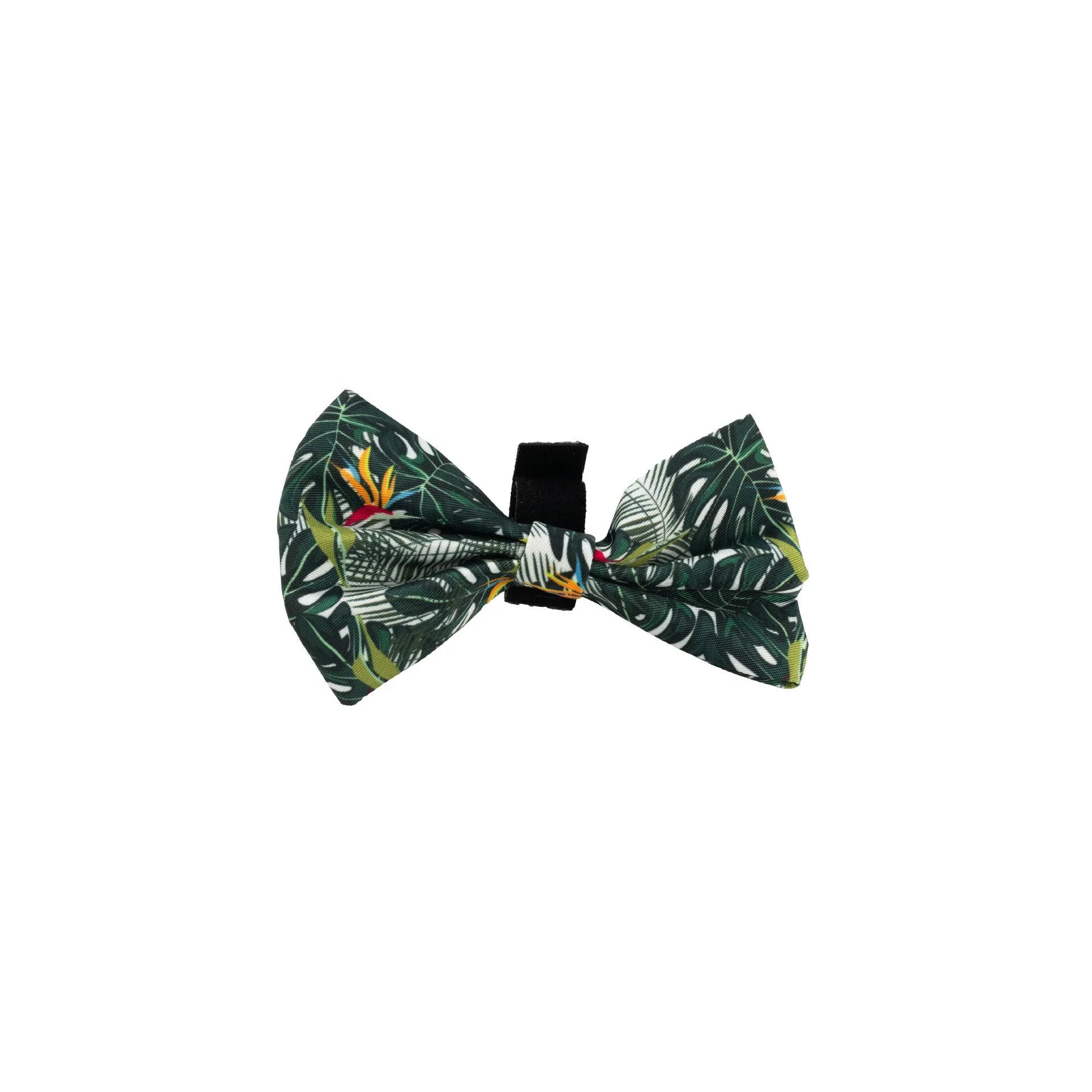 Adjustable pet harness vest six-piece set with haulage rope, collar, bow tie, and triangle scarf accessories