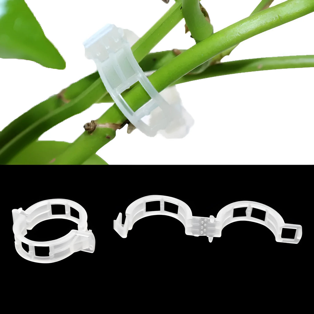 Plastic plant grafting clips pack of 50 pieces for tomato and garden plant support