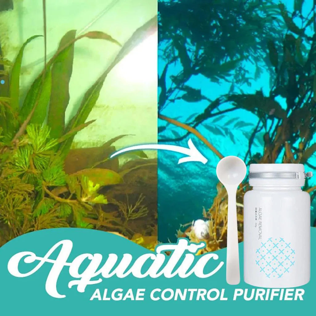 50g swimming pool algaecide bottle for algae and moss removal treatment