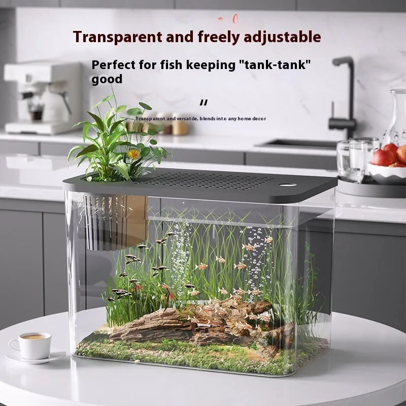 Black ecological betta fish tank with cover measuring 32cm length for desktop aquarium display