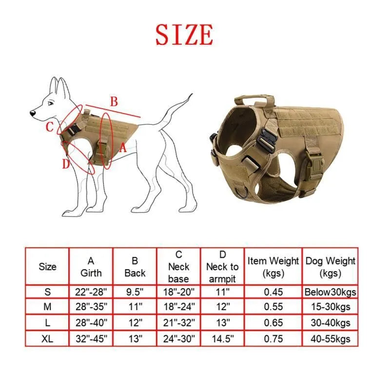 Dog wearing tactical training vest battle suit in camouflage pattern