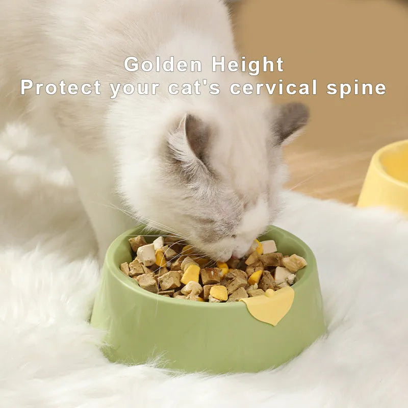 Green plastic double pet bowl for dog and cat food and water with anti-tip base