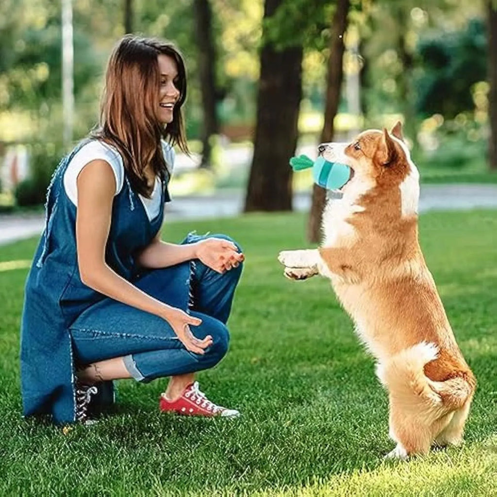 Blue durable rubber dog puzzle ball with treat dispensing holes for medium and large breeds