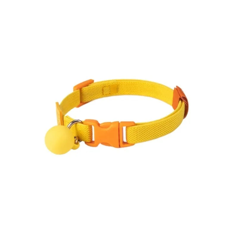 A small dog wearing a solid colour elasticated polyester collar, showing the snug fit and one of the seven available monochrome colour options.