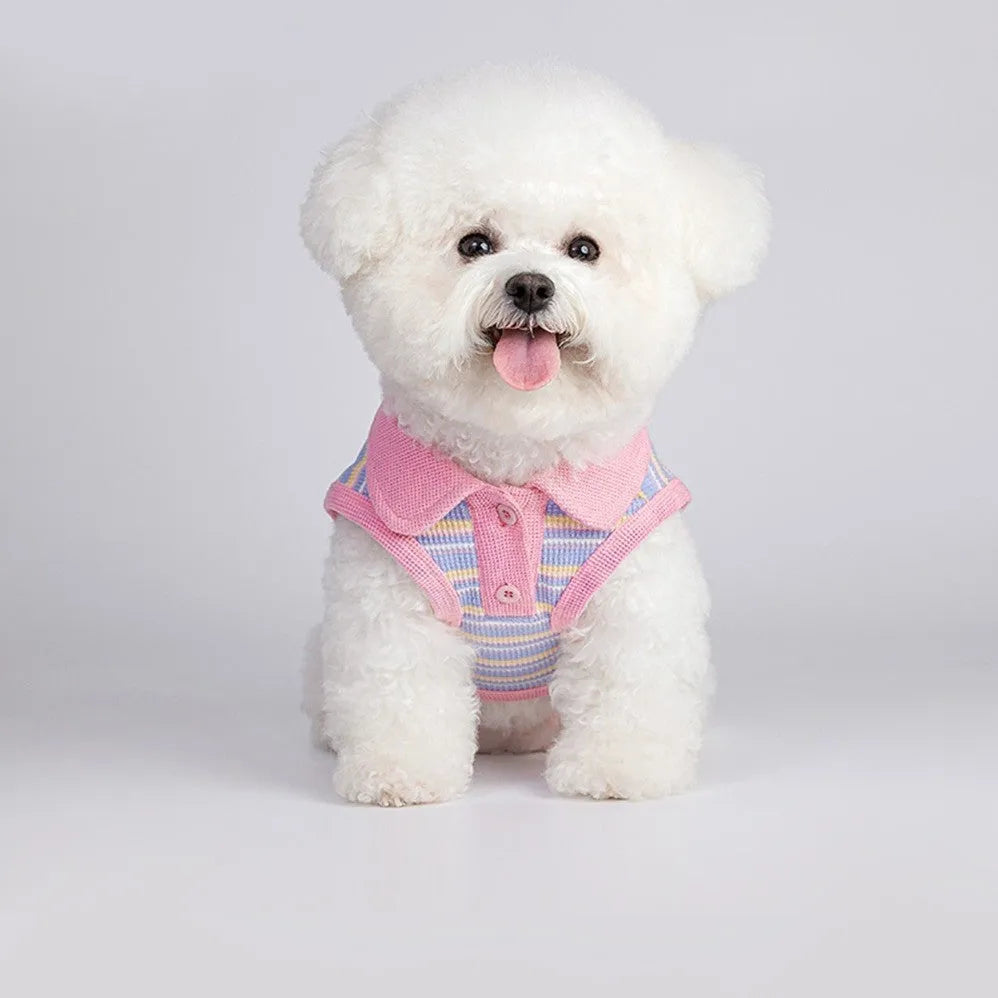 Pink purple pet vest for small dogs and cats showing size range from XXS to XXL