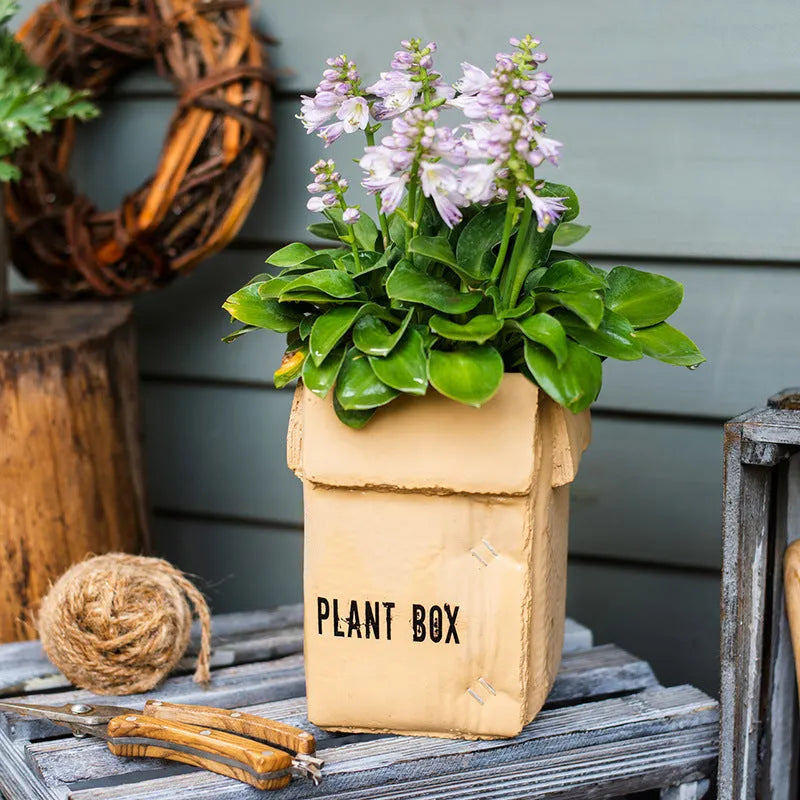 Cement flowerpot with paper carton aesthetic and drainage hole in Nordic style for indoor plants