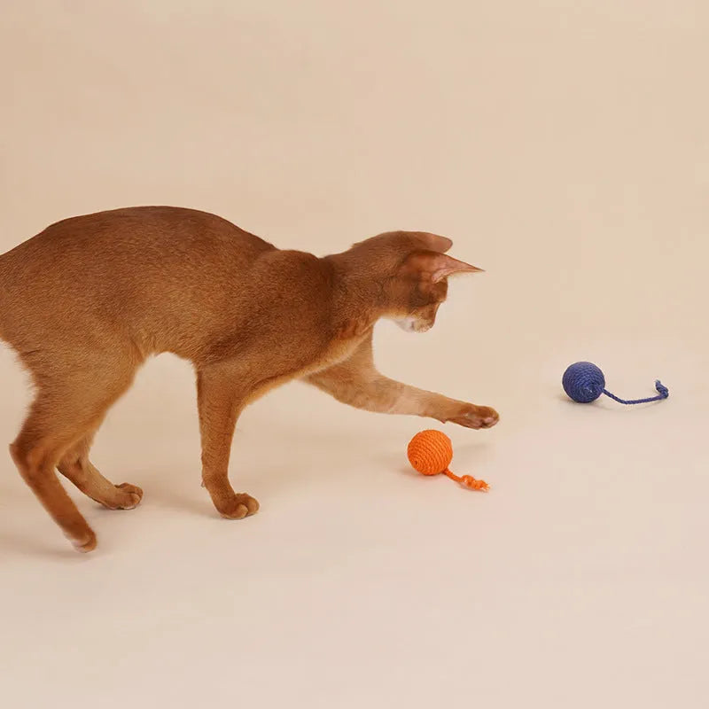 Cat toy set with blue bite-resistant teaser stick and catnip ball on white background