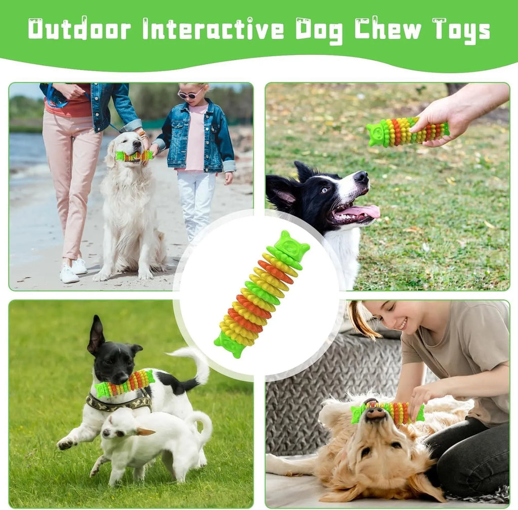 Blue green and pink caterpillar-shaped rubber dog chew toy for aggressive chewers, 17cm long