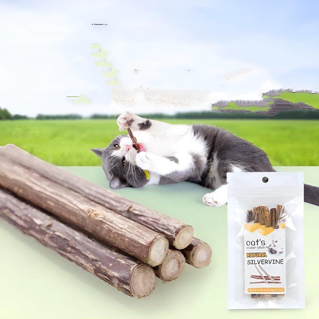 Five cat molar rods on a surface, each 15g, for adult cat dental care chewing