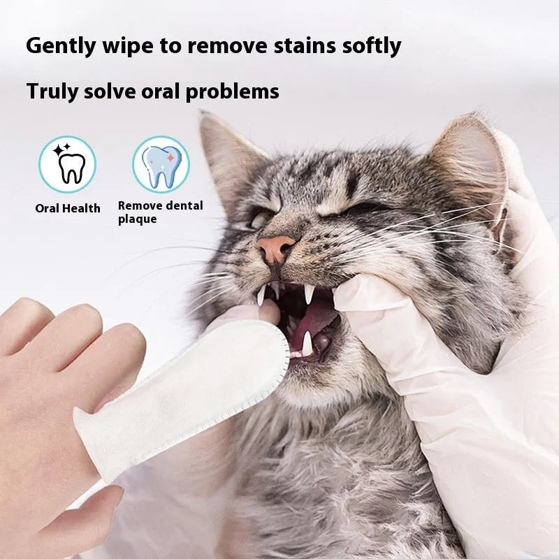 Pack of 50 white non-woven dental finger cots for cleaning pet teeth on cats and dogs.
