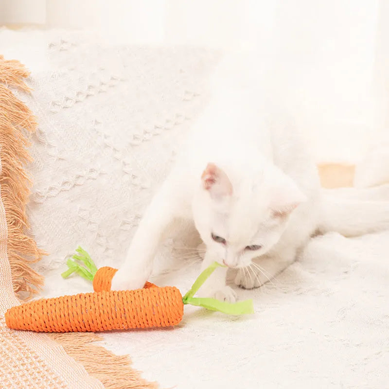 Assortment of cat toys including paper carrot bites, ringing stones, textured sticks and tooth grinding pieces in two sizes