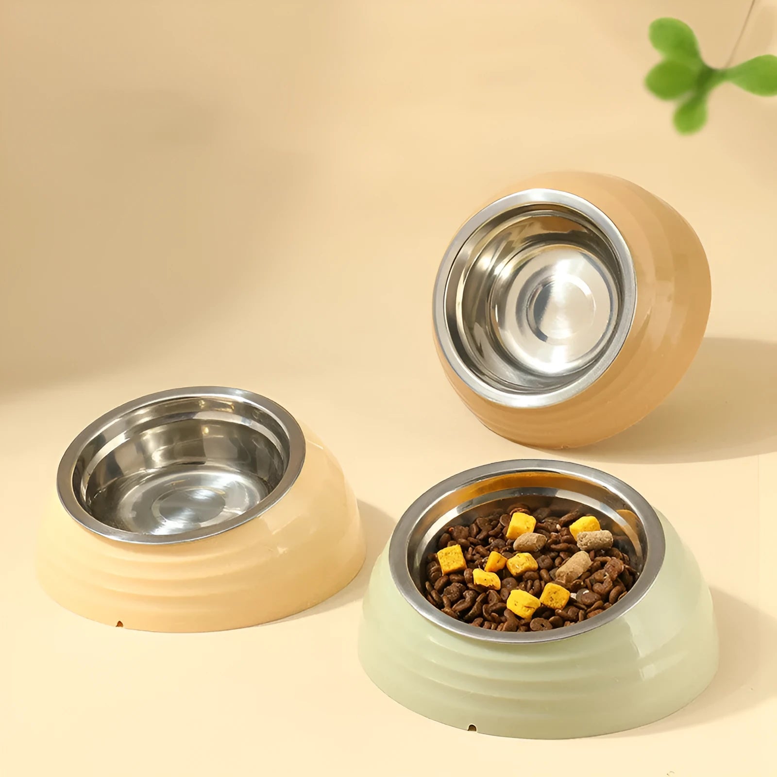 Stainless steel cat bowl in coloured plastic base available in beige, brown and light green