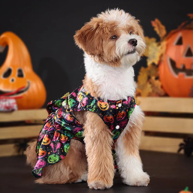Bright orange pumpkin angel wings dog costume on a small dog, showing back wing design.