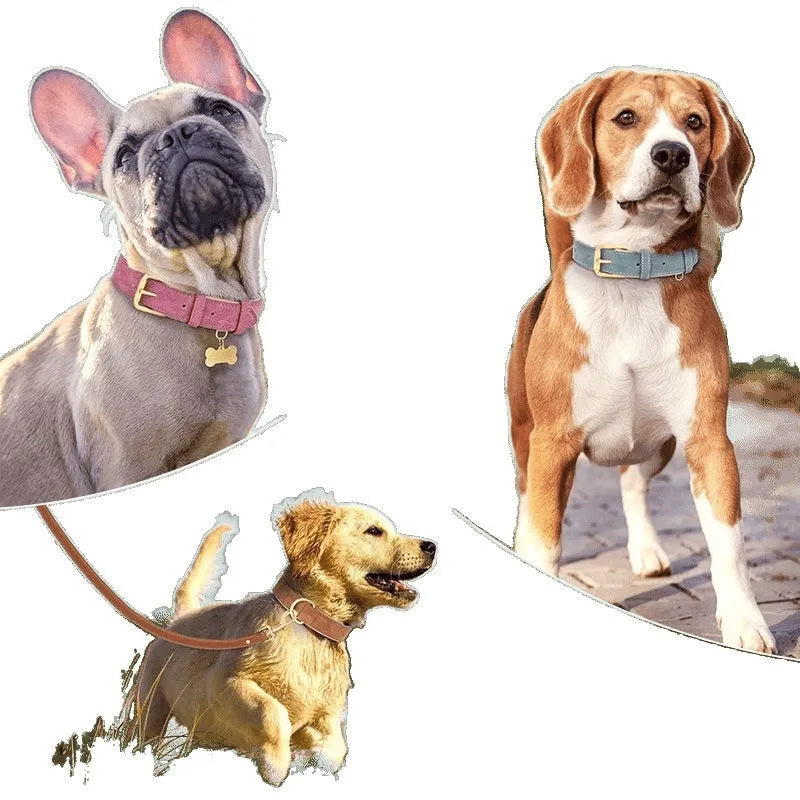 Double-layer leather dog collar and matching lead in rose red, brown or blue