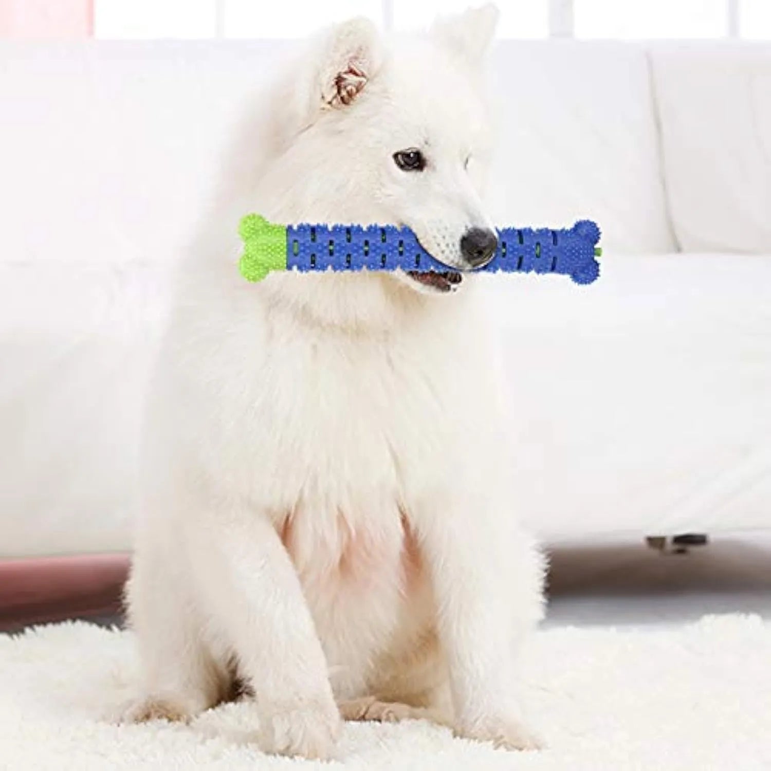 Blue green silicone dog toothbrush toy with serrated brush head for dental cleaning