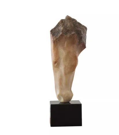 French retro style abstract horse head art sculpture ornament with carved finish on a desktop.