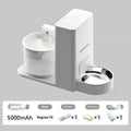 Wireless thermostatic cat water dispenser with 2-in-1 drinking feature, includes filter and desiccant, 3000mA/5000mA