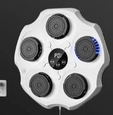Bluetooth music boxing wall target with hanging design and adult gloves for home fitness training