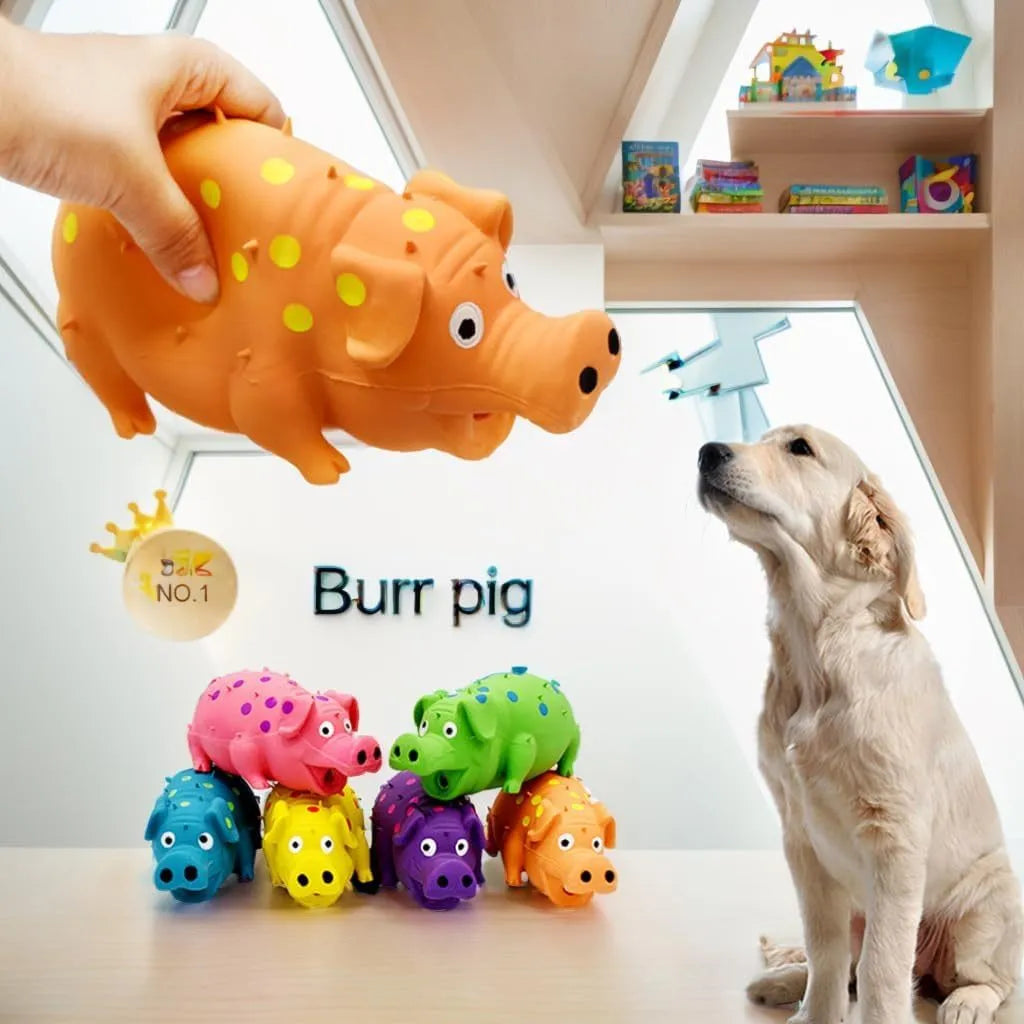 Blue latex pig-shaped dog chew toy with protruding grains and squeaker for aggressive chewers