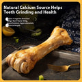 Large puppy molar rod dental chew with roasted ox bone flavour for teeth cleaning and training rewards