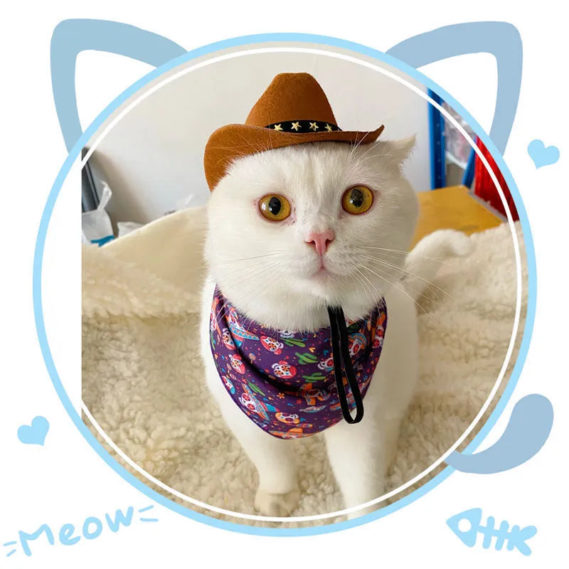 British cat cowboy hat for small pets in sizes S and M with decorative trim options