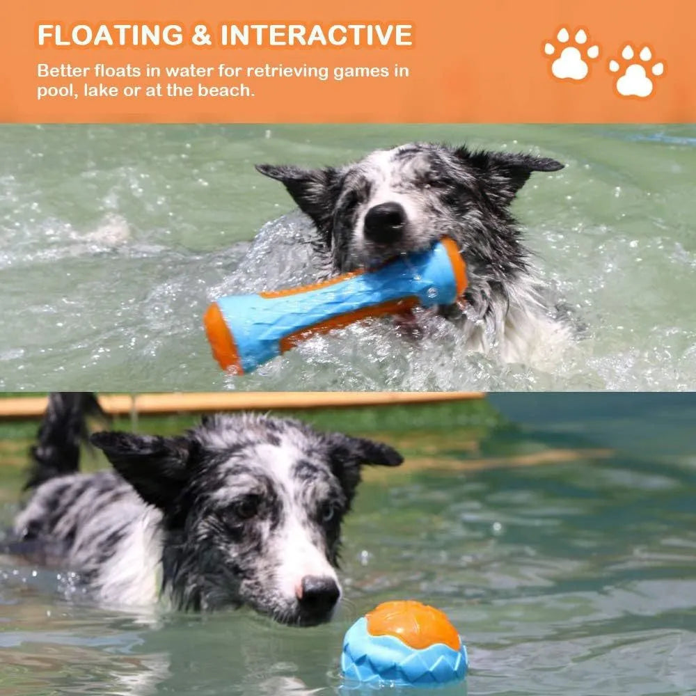 Three floating dog toys: a blue squeaky ball, a red barbell, and an orange tyre on a blue background.