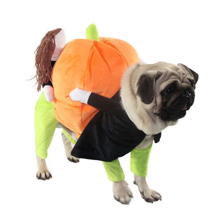Black velvet Halloween pumpkin dog clothes on a pet, size L 40cm length