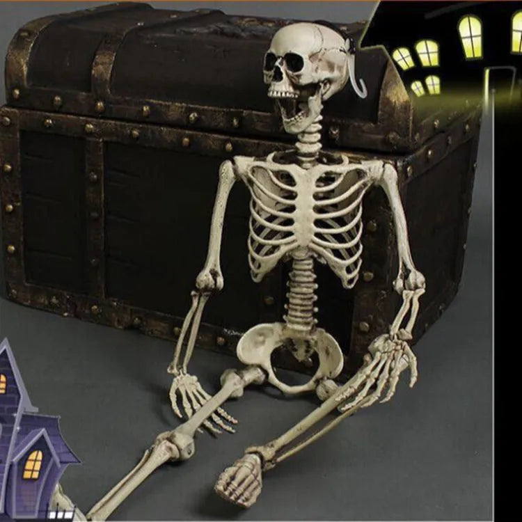 170cm tall plastic skeleton prop with realistic human proportions for Halloween decorations