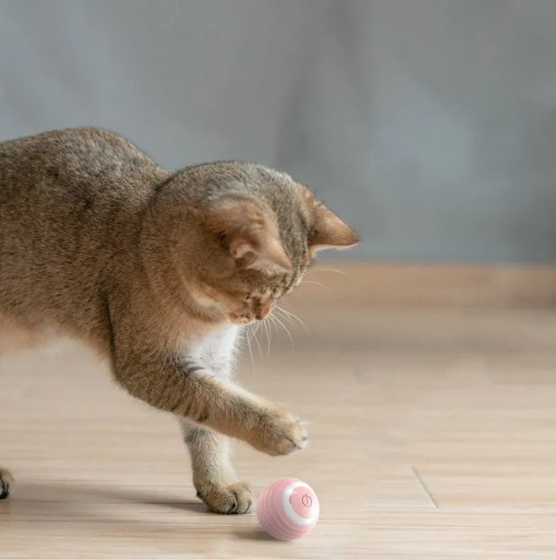 Blue automatic moving cat toy ball with rechargeable charging cable