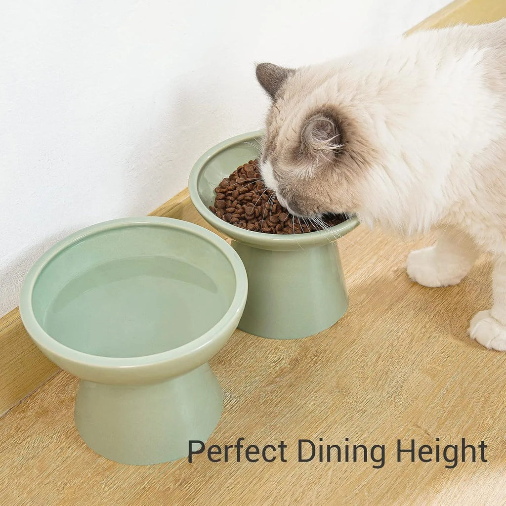 Elevated ceramic cat bowl with wide shallow design in blue green pink or white