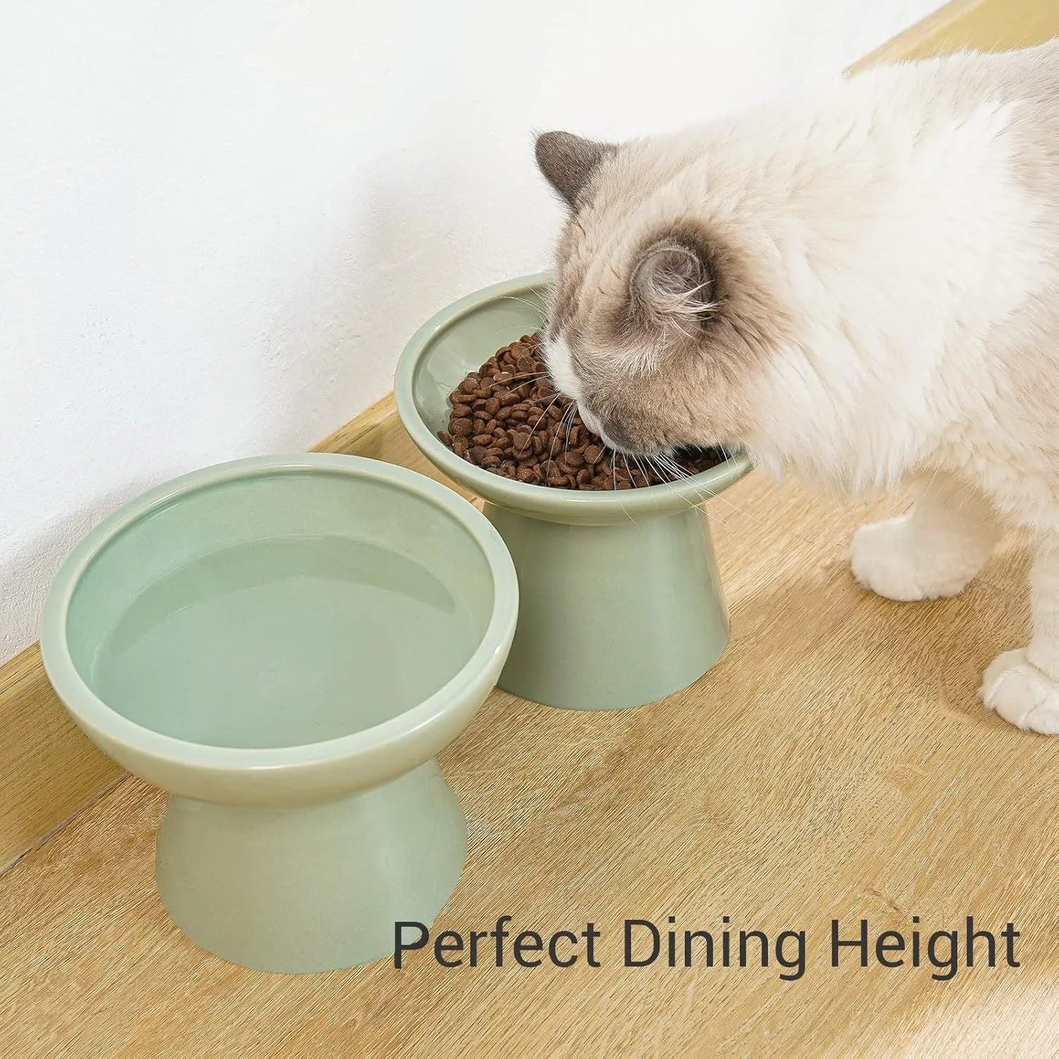 Elevated ceramic cat bowl with wide shallow design in blue green pink or white