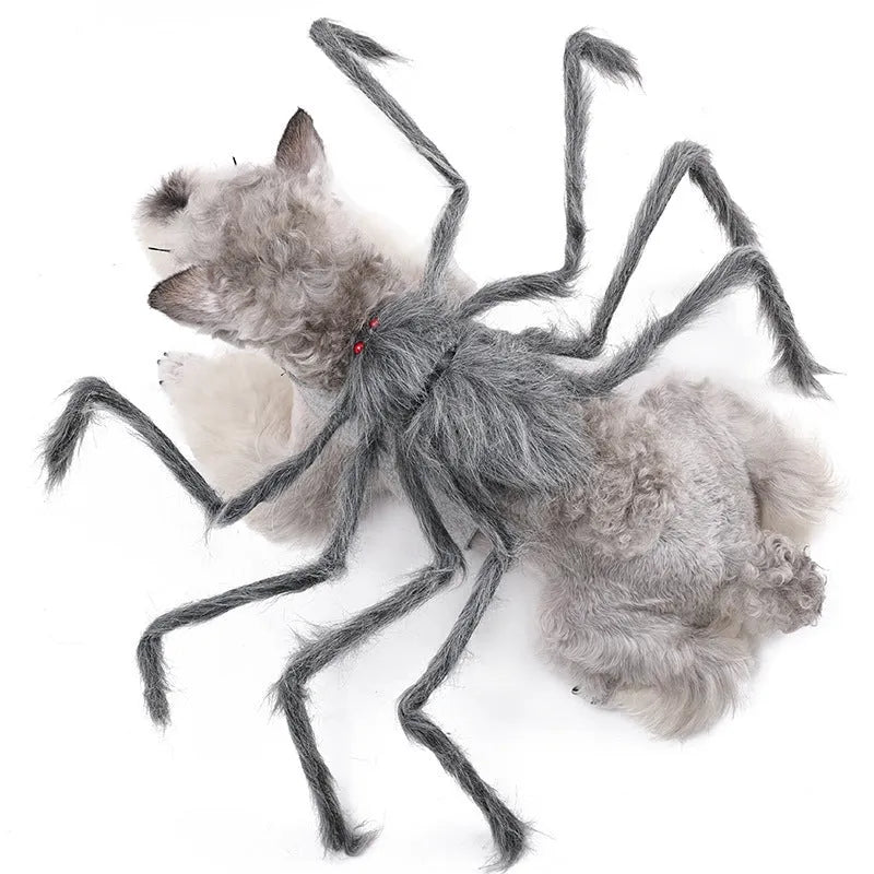Halloween spider pet costume for cats and dogs in multiple sizes and colours