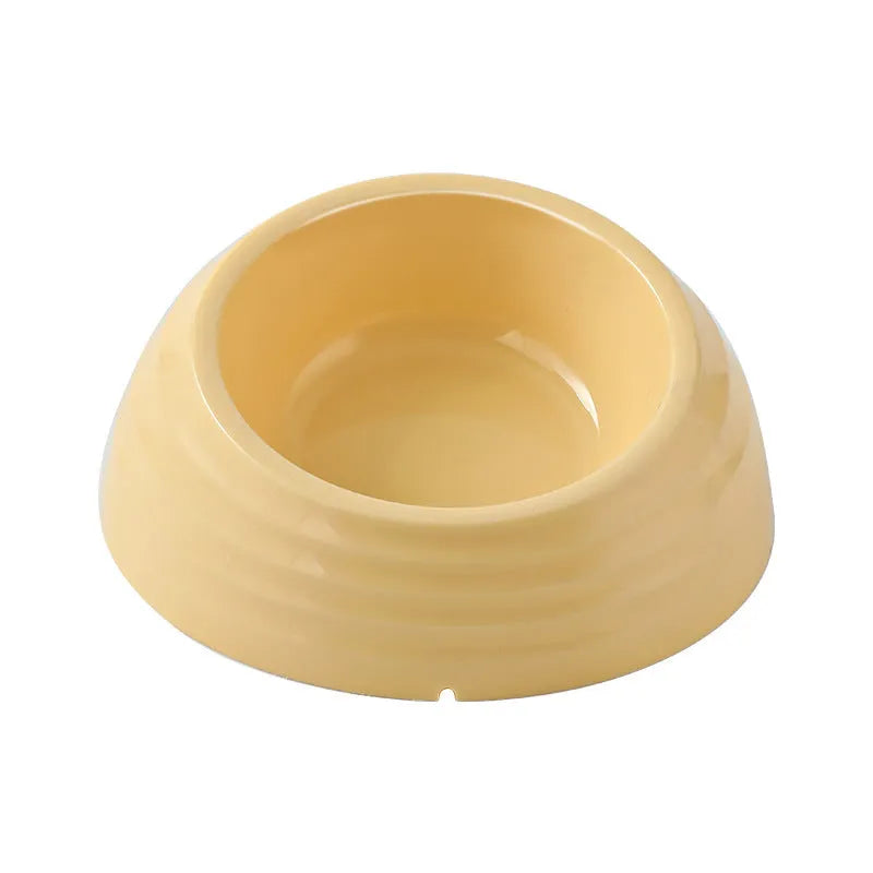 Stainless steel cat bowl in coloured plastic base available in beige, brown and light green