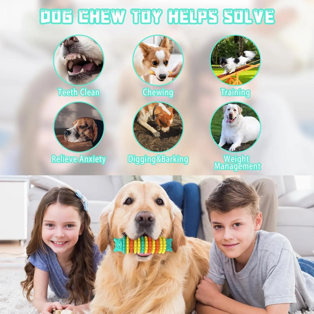 Blue green and pink caterpillar-shaped rubber dog chew toy for aggressive chewers, 17cm long