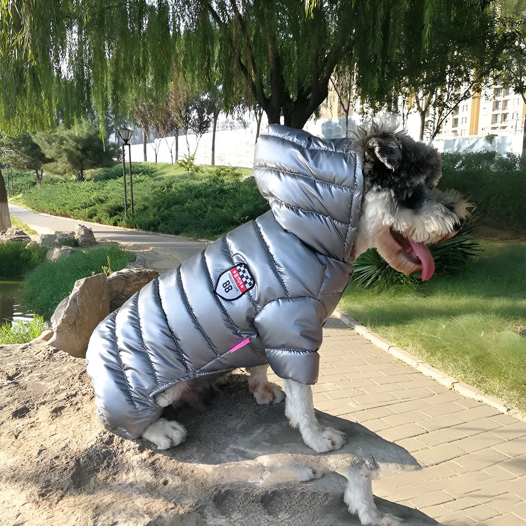 Pet down cotton jacket in grey on a dog, showing casual style and button fastenings