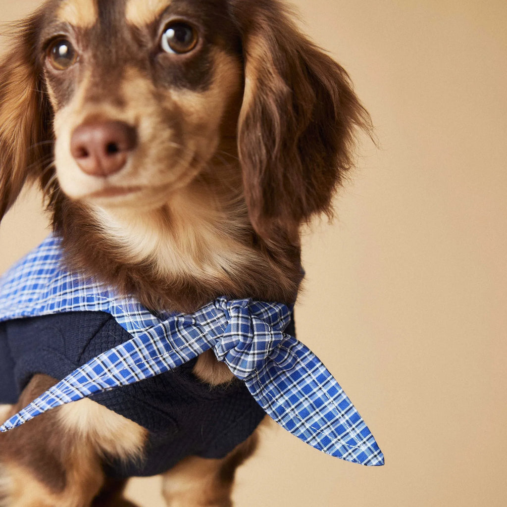 Sailor collar sleeveless dog vest in beige polyester, side view on a small breed dog